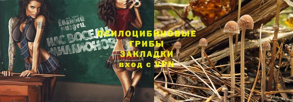молекула духа Абинск