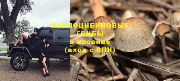 молекула духа Абинск