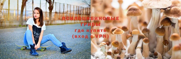 молекула духа Абинск