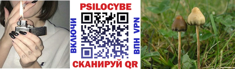 где купить наркоту  Холм  Галлюциногенные грибы GOLDEN TEACHER 